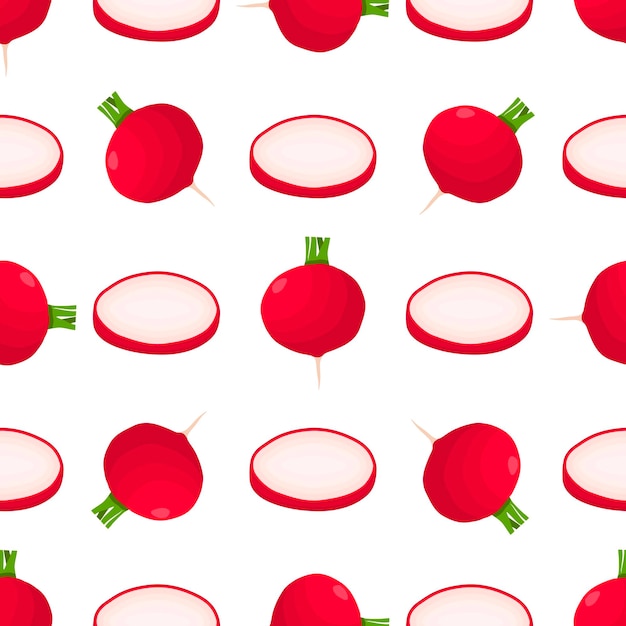 Ilustración sobre el tema del rábano rojo patrón brillante