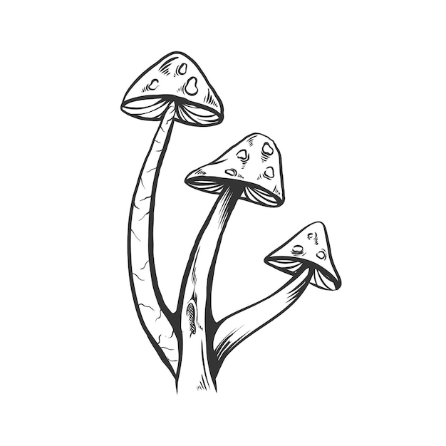 Ilustración vectorial de hongos de color plano simple en estilo vintage