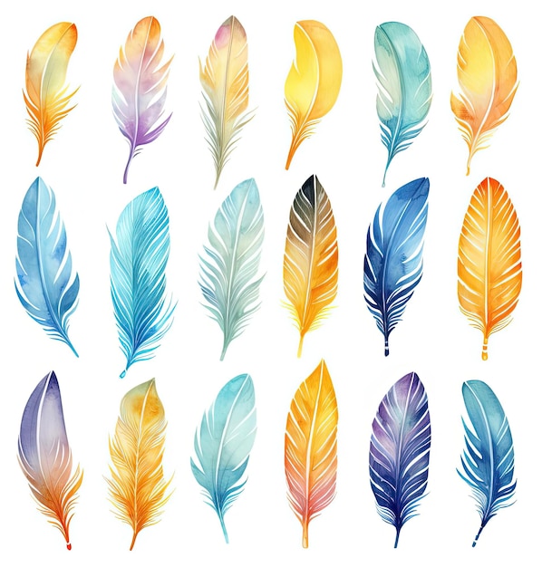 Ilustración vectorial de plumas de acuarela aisladas sobre un fondo blanco