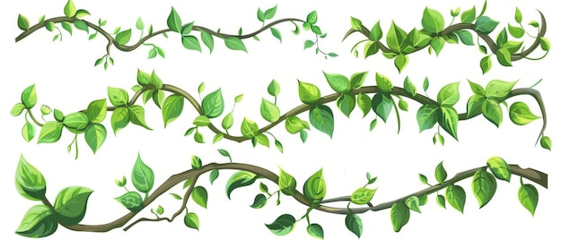 Ilustración de vides de plantas de la selva retorcidas con follaje aislado en fondo blanco Fronteras del juego para el diseño de la interfaz de usuario