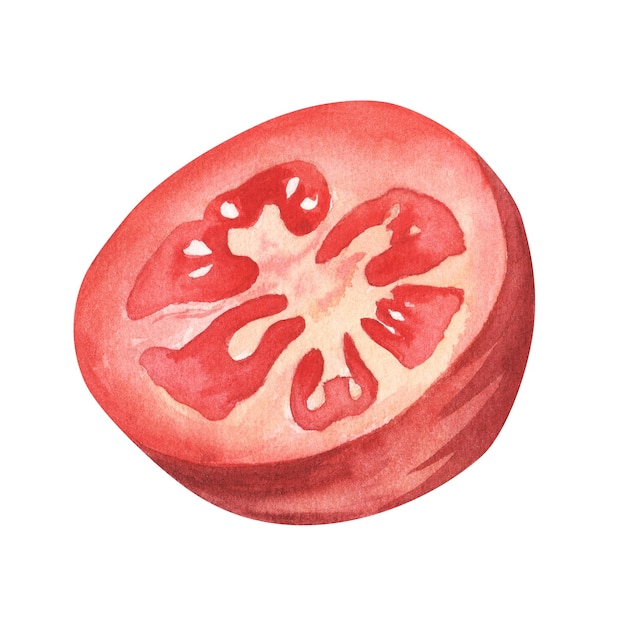 Ilustraciones de verduras de acuarela Alimentos orgánicos frescos Conjunto de tomates rojos lindo dibujado a mano