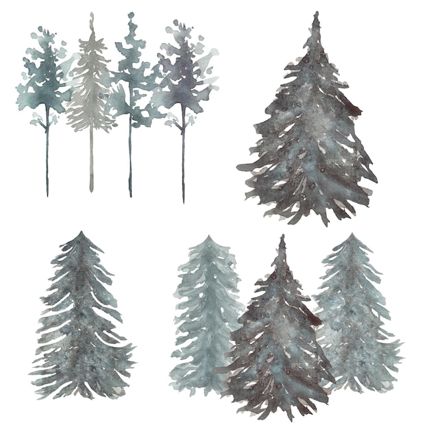 Ilustrações de árvores florestais, árvores florestais em aquarela, paisagens nebulosas de inverno, ilustração de floresta de pinheiros, convites de casamento, confecção de cartões, design de logotipo