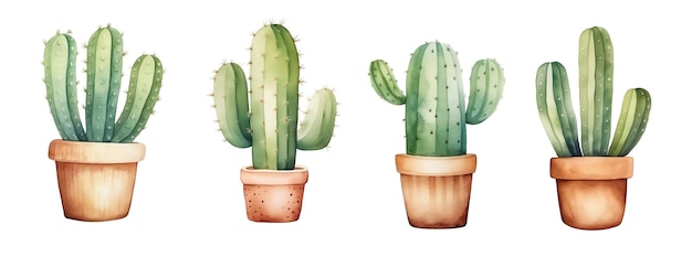 Foto ilustrações em aquarela de vários cactos em vasos isolados em fundo branco