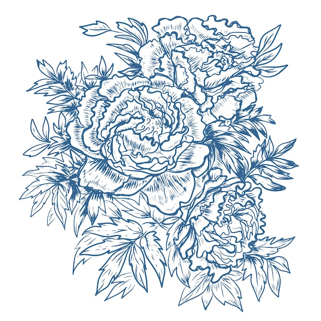 Ilustrações gráficas de flores de peônia