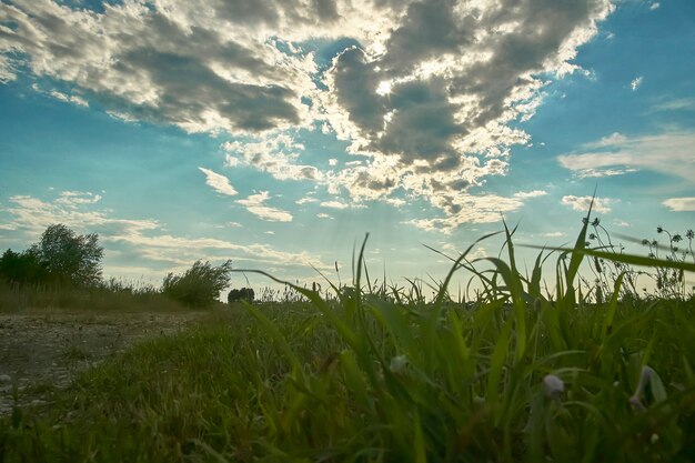 Im Erdgeschoss weiterverkaufte Landschaftslandschaft, in der Sie die Überreste einer frisch gedroschenen Kultur, den Himmel und die Wolken und unten ein typisches Landhaus in Norditalien sehen können.