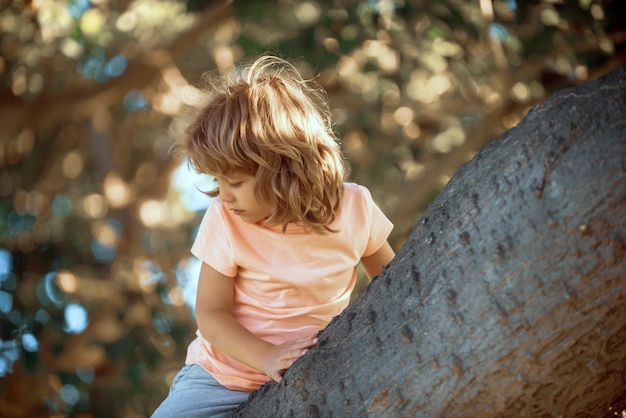 Im Freien Porträt des netten Vorschuljungen Kind klettert auf einen Baum. Kinder klettern. Aktive Kinder, die draußen spielen.