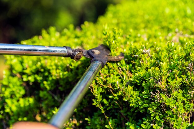 Im Garten arbeiten