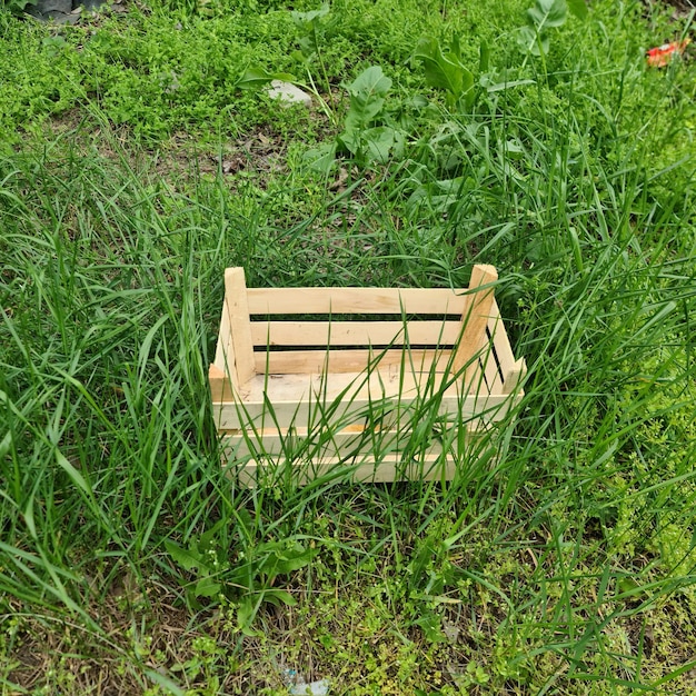 Im Gras steht eine Holzkiste mit der Aufschrift „ darauf.“