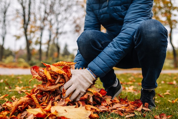 Im Herbst abgefallene Blätter sammeln. Saisonale Gartenarbeit. Reinigung des Hinterhofs. Sammeln von Blättern.