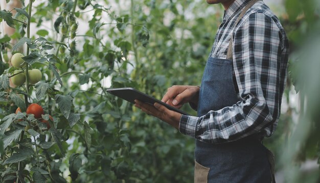 Im industriellen Gewächshaus testen zwei Landwirtschaftsingenieure die Gesundheit der Pflanzen und analysieren Daten mit einem Tablet-Computer