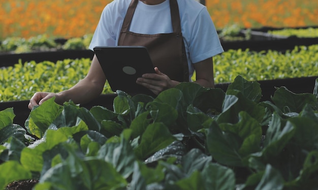 Foto im industriellen gewächshaus testen zwei landwirtschaftsingenieure die gesundheit der pflanzen und analysieren daten mit einem tablet-computer