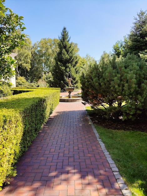 Im Stadtpark ein Spazierweg aus Pflastersteinen, der perspektivisch zu einem Springbrunnen führt