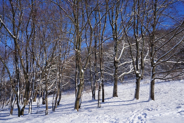 Im Winter tagsüber parken