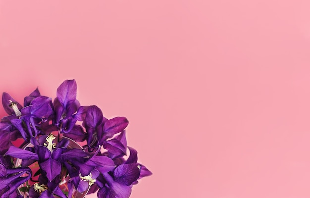 Imagem abstrata da moda do buquê de flores violetas em estilo plano em fundo rosa