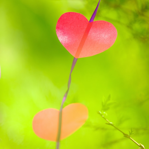 Imagem abstrata do coração na fita em um fundo de grama verde.
