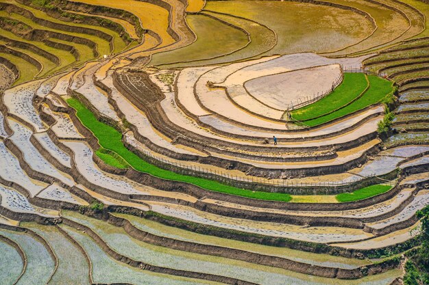 Imagem aérea de terraços de arroz na província de Muong Hum Y Ty Lao Cai, Vietnã Paisagem panorama dos campos de arroz em terraços do Vietnã Coração de Muong Hum Campos de arroz espetaculares Tiro panorâmico costurado