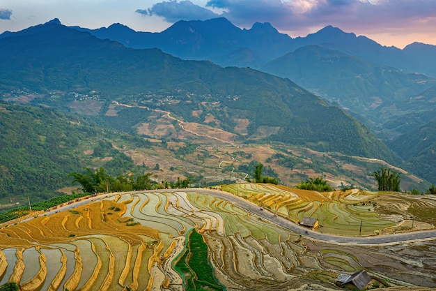 Imagem aérea de terraços de arroz na província de Ngai Thau Y Ty Lao Cai, Vietnã Paisagem panorama dos campos de arroz em terraços do Vietnã de Ngai Thau Campos de arroz espetaculares Tiro panorâmico costurado