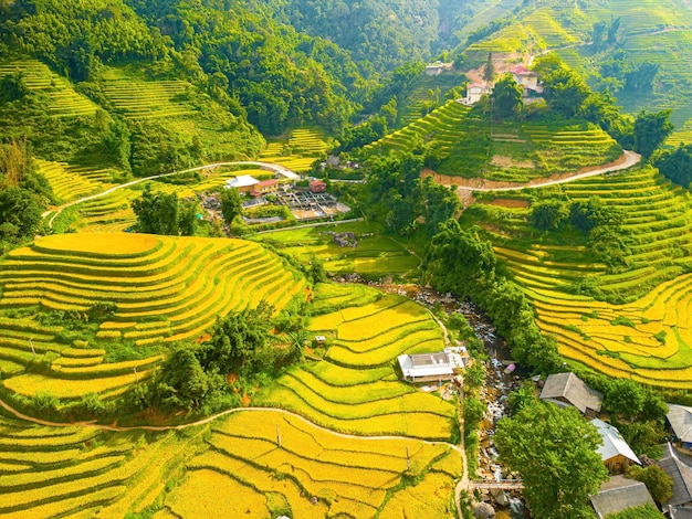 Imagem aérea de terraços de arroz no Vale de Muong Hoa, província de Lao Cai, Vietnã Panorama da paisagem do Vietnã campos de arroz em terraços com nevoeiro na manhã Campos de arroz espetaculares