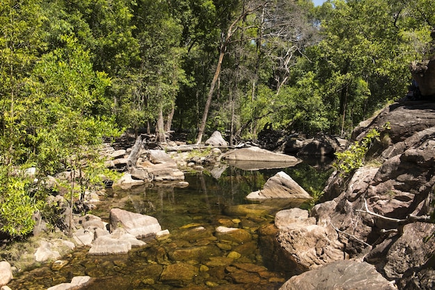 Foto imagem aproximada de um rio e pedras