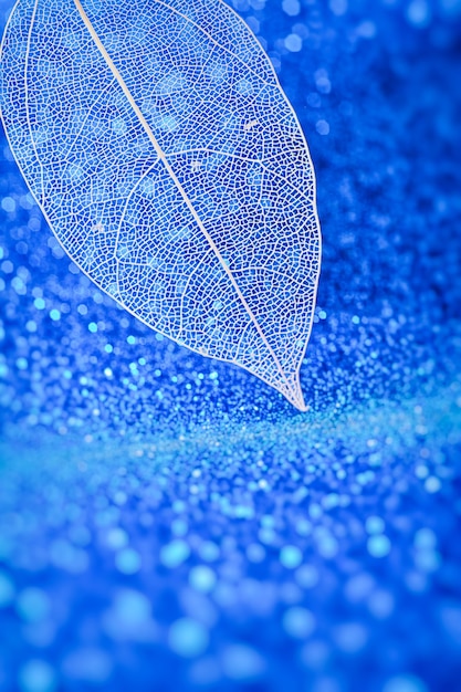 Imagem artística expressiva de beleza e pureza da natureza. linda folha esqueletizada branca sobre fundo azul claro com bokeh redondo.