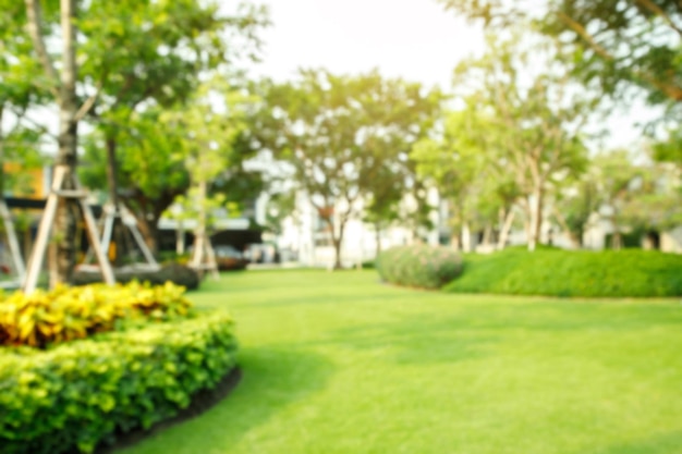 Foto imagem borrada de um belo gramado verde no parque