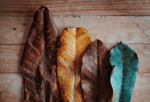 Imagem com 4 folhas de outono de diferentes cores e tamanhos em uma mesa de madeira para decoração ou bela composição Conceito de estação e outubro meses de novembro Natureza fundo Tons marrons e amarelos