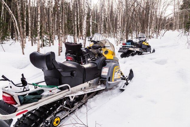 Imagem com motos de neve.