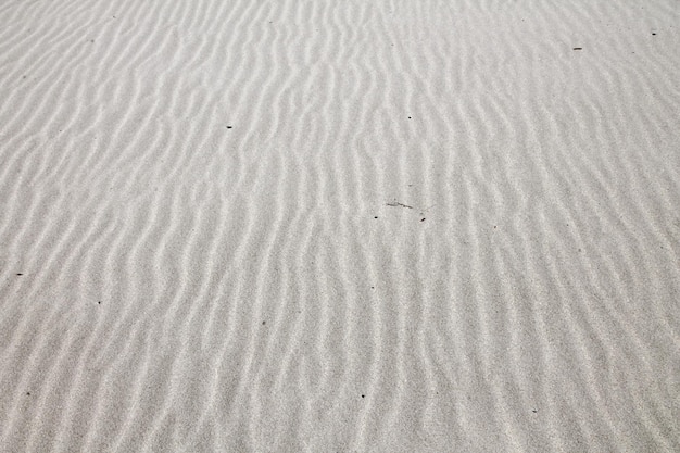 Imagem completa de dunas de areia na praia