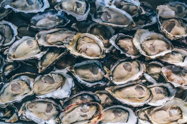 Imagem completa de frutos do mar em conchas