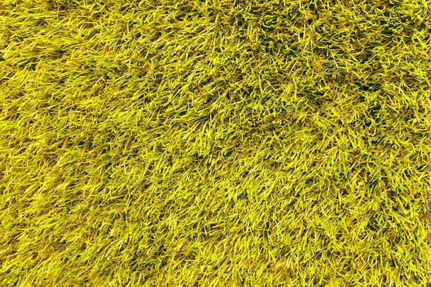 Foto imagem completa de grama amarela no campo