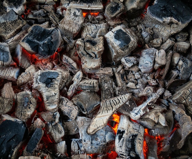 Foto imagem completa de lenha de fogo