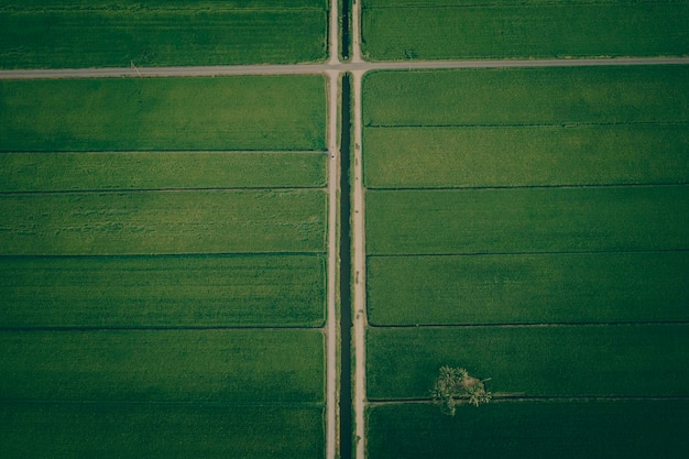 Imagem completa de um campo agrícola