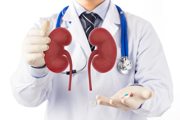 Imagem composta digital de médico com medicamentos e rins contra fundo branco