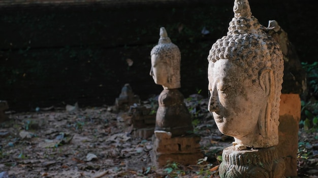 Imagem da antiga cabeça de Thai Lanna Buddha no templo da caverna em Chaingmai Tailândia