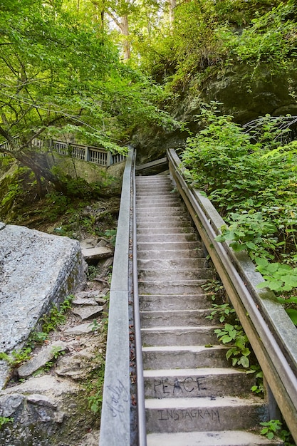 Foto imagem da escada de pedra da paz e do instagram subindo em um caminho de floresta verde