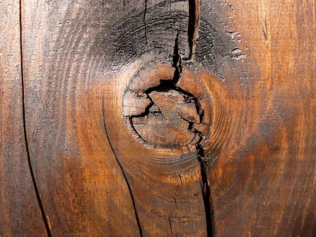 Imagem da foto da bela textura de fundo de madeira