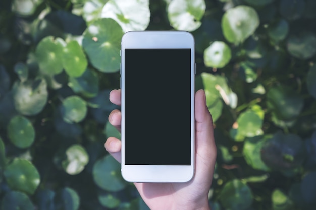 Imagem da maquete das mãos segurando o telefone móvel com folha verde