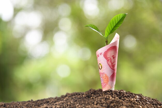 Imagem da nota de china yuan com planta crescendo em cima para negócios, economia, crescimento, econômico