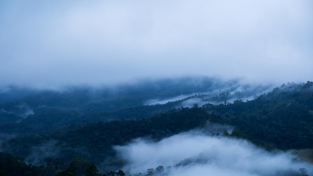 Imagem da paisagem de montanhas e colinas da floresta tropical de vegetação nevoenta