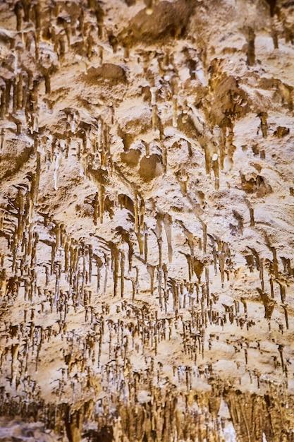 Imagem de centenas de pequenas estalactites penduradas no teto plano da caverna