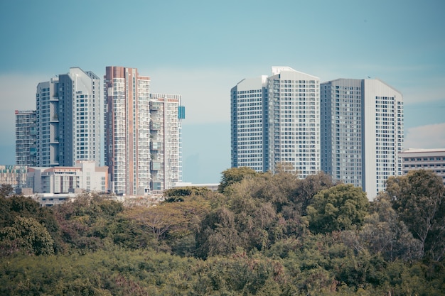 Imagem de condomínio à tarde com floresta na frente