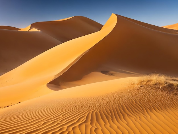 Imagem de dunas do deserto