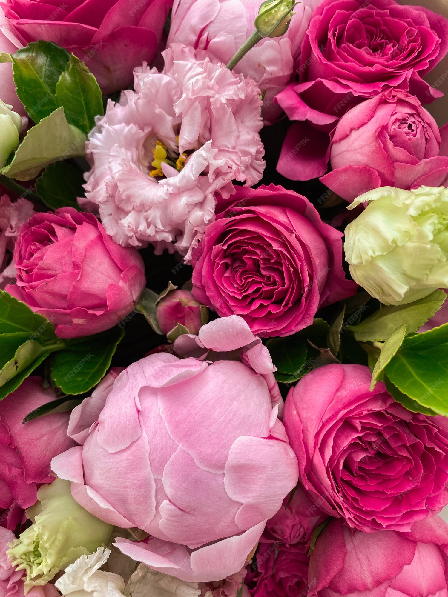 Dois Ramos De Peões Cor-de-rosa Numa Mão Feminina. Linda Flor De Pénia Para  Catálogo Ou Loja Online. Conceito De Floral Imagem de Stock - Imagem de  presente, nave: 270640269