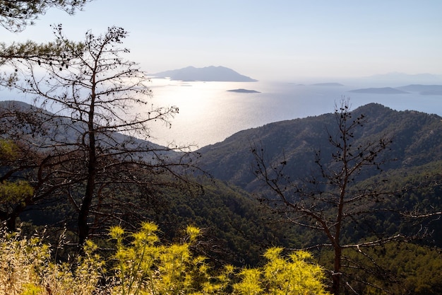 Foto imagem de luz de fundo da costa oeste perto de kritina, na ilha de rodes, com plantas e árvores amarelas