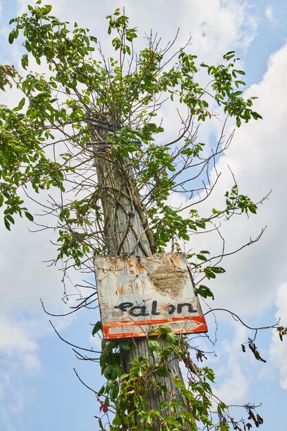 Imagem de olhando para um poste de telefone antigo com a placa desbotada