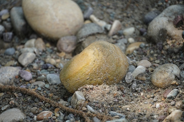 Imagem de pedra na floresta com pequenas imagens
