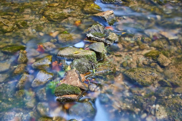 Imagem de pequenas rochas cobertas de musgo em um leito de rio raso