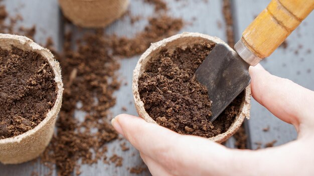 Foto imagem de perto de uma semente plantada em vasos de turfa biodegradáveis ecológicos