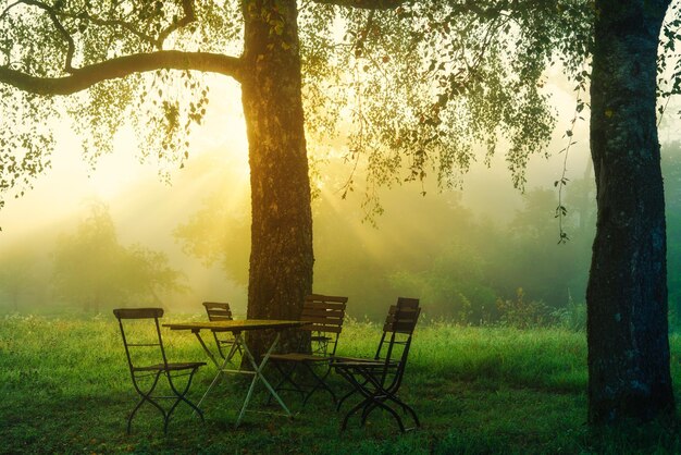 Imagem de Sunrise Morning Chairs