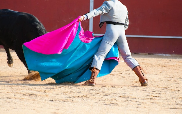 Imagem de touro lutando da Espanha. Touro preto